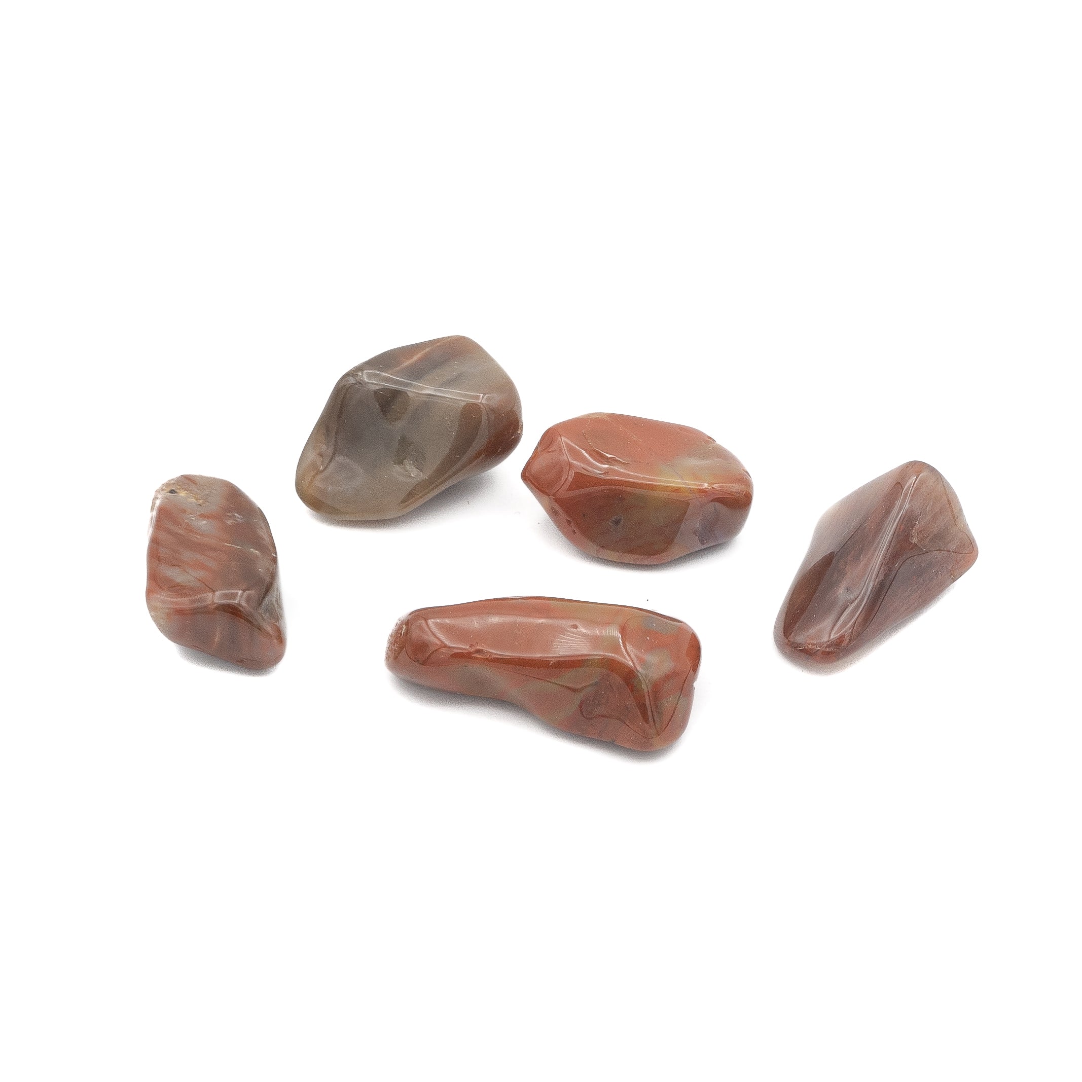 Petrified Wood Tumble $2